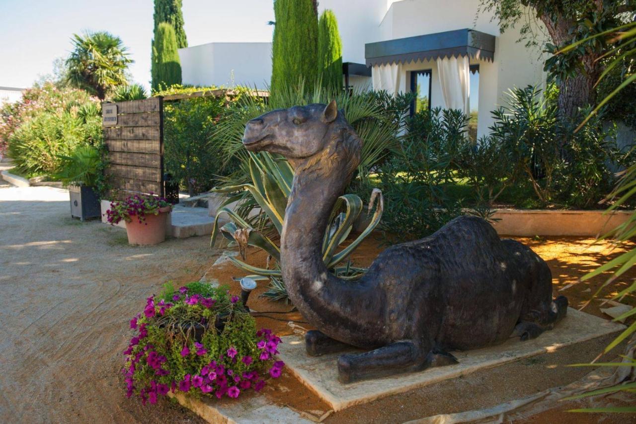 La Villa Majorelle Пертюі Екстер'єр фото