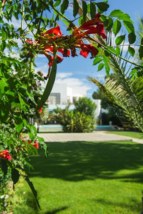La Villa Majorelle Пертюі Екстер'єр фото
