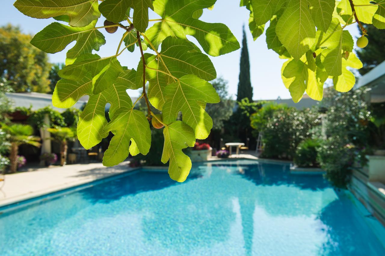 La Villa Majorelle Пертюі Екстер'єр фото