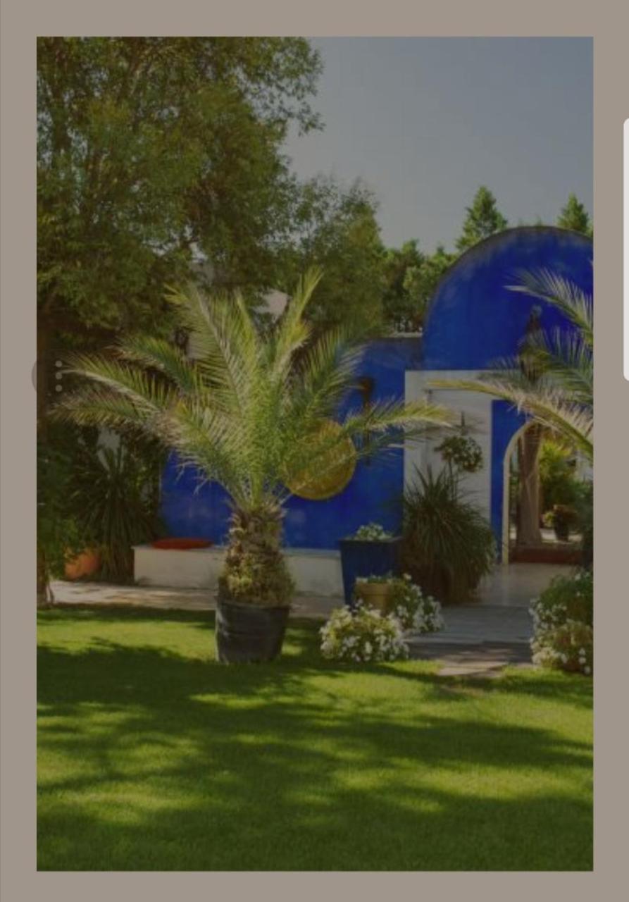 La Villa Majorelle Пертюі Екстер'єр фото
